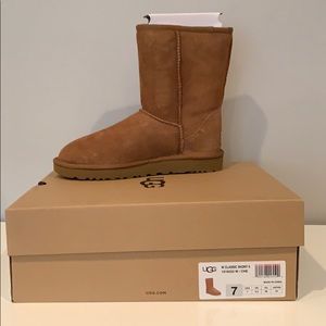Ugg Classic Short Boot in Chestnut